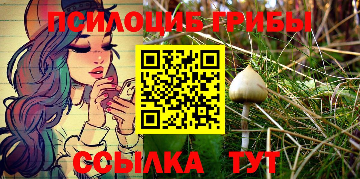 Галлюциногенные грибы MAGIC MUSHROOMS  Вход с VPN  Псилоцибиновые грибы Psilocybe  Саратов 